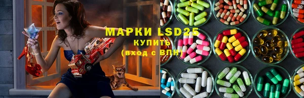 гашик Абинск